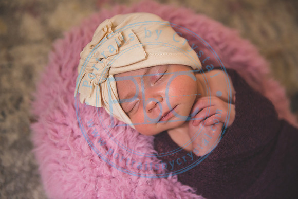 Bristol - Newborn_081420_0209