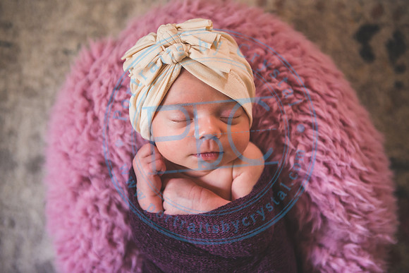 Bristol - Newborn_081420_0216
