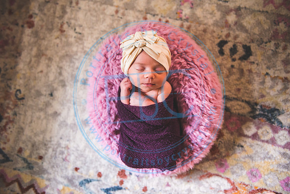 Bristol - Newborn_081420_0231