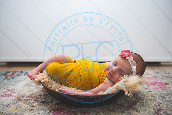 Bristol - Newborn_081420_0245