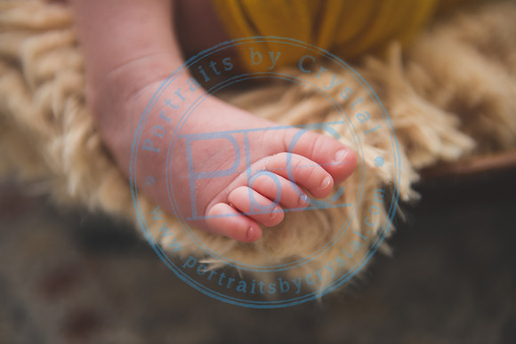 Bristol - Newborn_081420_0299