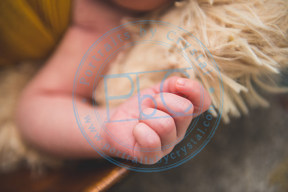 Bristol - Newborn_081420_0314