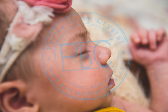 Bristol - Newborn_081420_0329
