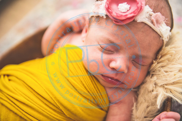 Bristol - Newborn_081420_0267
