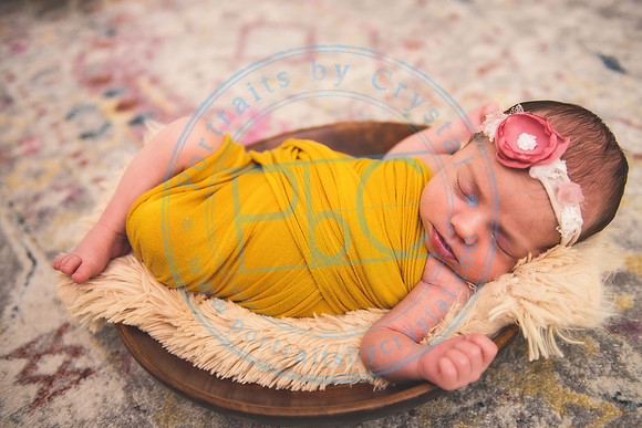 Bristol - Newborn_081420_0282