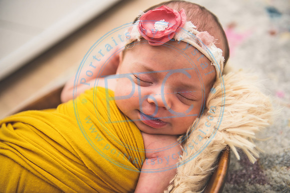 Bristol - Newborn_081420_0252