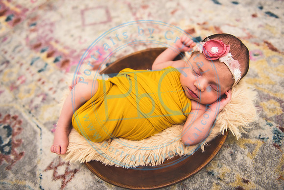 Bristol - Newborn_081420_0288