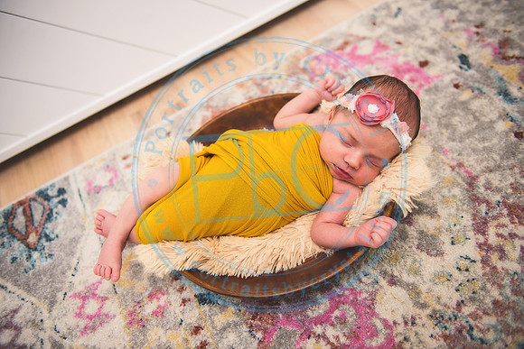 Bristol - Newborn_081420_0275