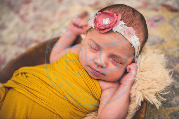 Bristol - Newborn_081420_0295