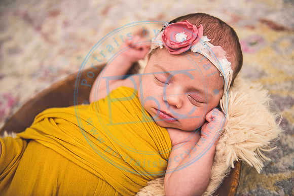 Bristol - Newborn_081420_0298