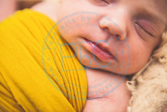 Bristol - Newborn_081420_0308