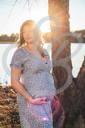 Vicki - Maternity_020922_0252
