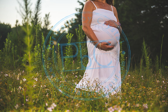 Carisa - Maternity_081820_0271