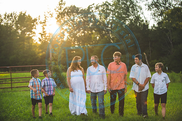Carisa - Maternity_081820_0128