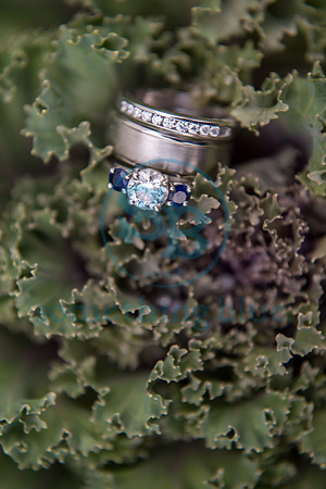 Jaclyn & Tony - Wedding_080820_4398