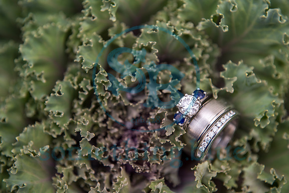 Jaclyn & Tony - Wedding_080820_4399