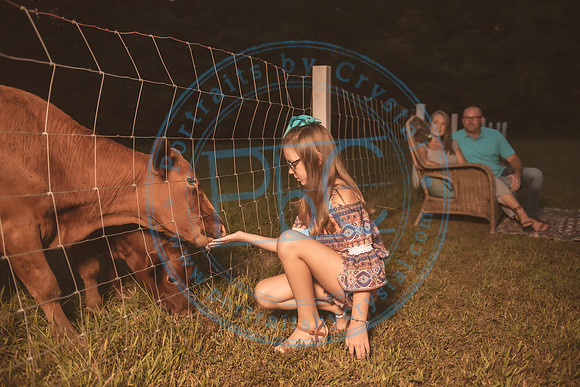 Glamping Minis_082820_0501