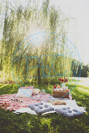 Picnic Minis_090520_0009