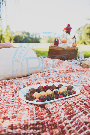 Picnic Minis_090520_0017