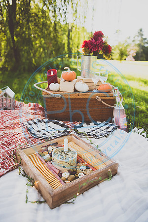 Picnic Minis_090520_0020