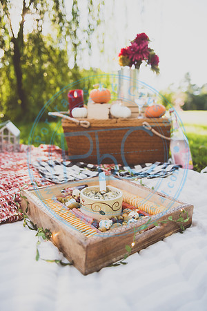 Picnic Minis_090520_0021