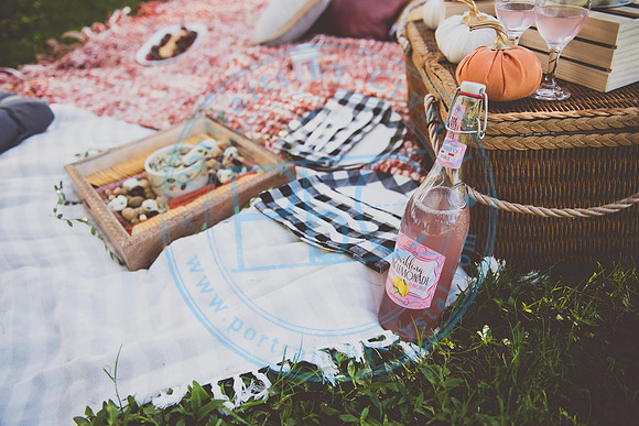 Picnic Minis_090520_0028