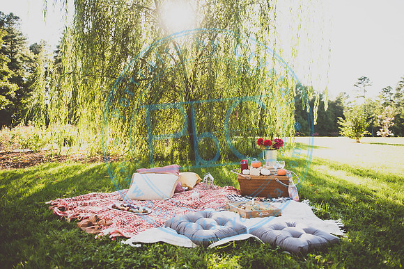 Picnic Minis_090520_0011