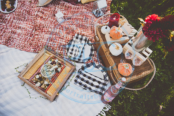 Picnic Minis_090520_0025