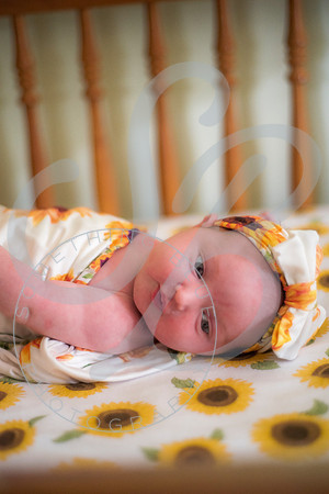 Lyla - Newborn_071325_0121