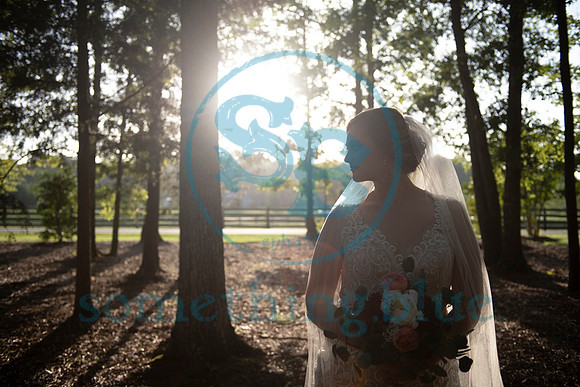 Anna - Bridal_090320_0090