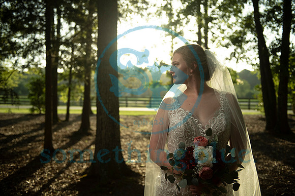 Anna - Bridal_090320_0097