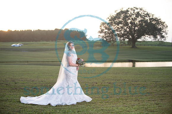 Anna - Bridal_090320_0378