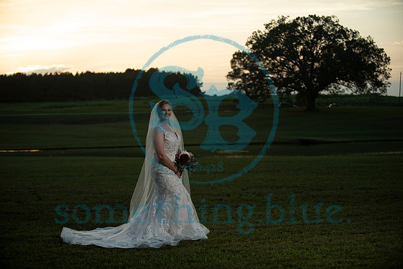 Anna - Bridal_090320_0413