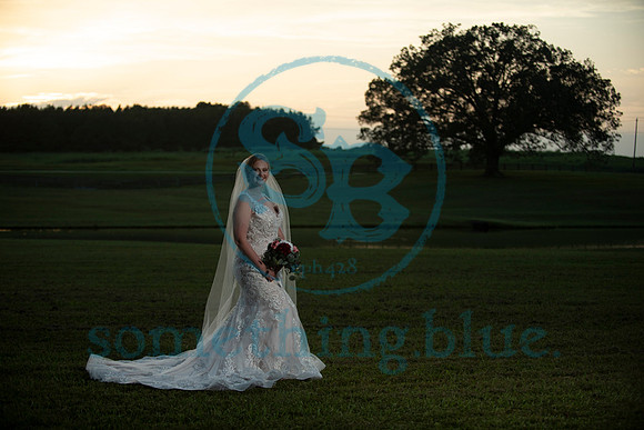 Anna - Bridal_090320_0416