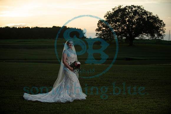 Anna - Bridal_090320_0418