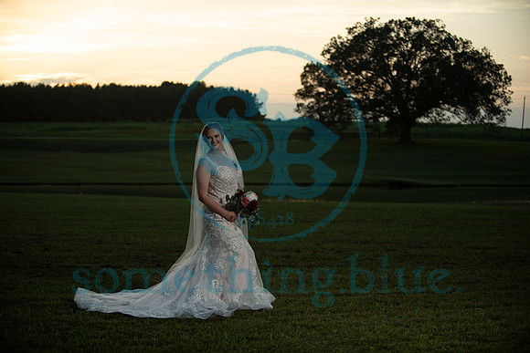 Anna - Bridal_090320_0424