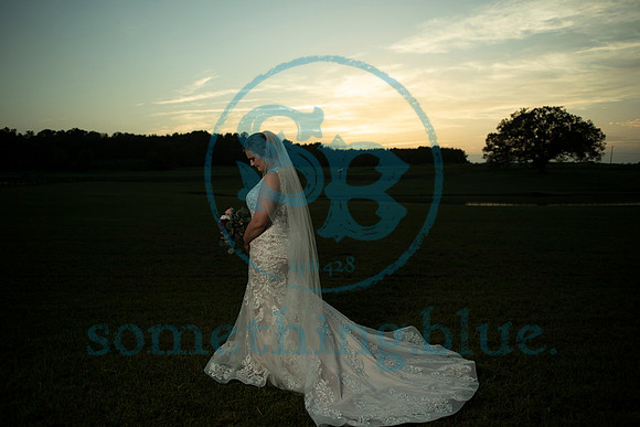 Anna - Bridal_090320_0454