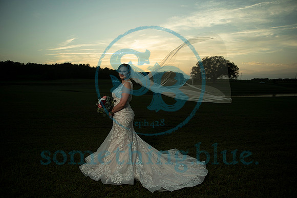 Anna - Bridal_090320_0459