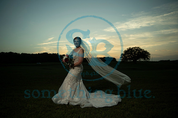Anna - Bridal_090320_0488