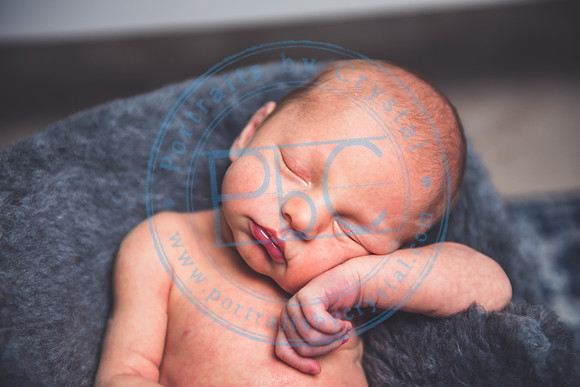 Joel - Newborn_091320_0338