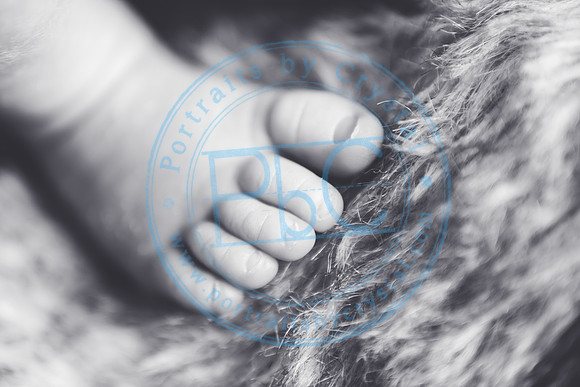 Joel - Newborn_091320_0398