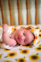 Lyla - Newborn_071325_0119