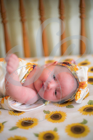 Lyla - Newborn_071325_0119