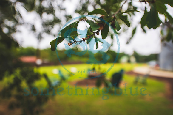 Lauren & Jared - Wedding Slideshow003