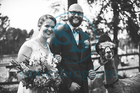 Jenny & Tommy - Slideshow140