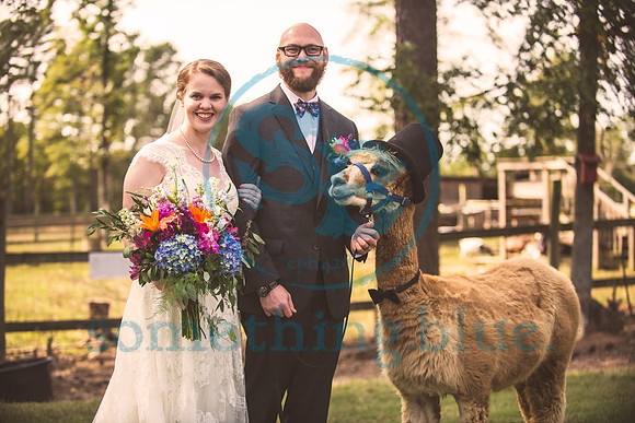 Jenny & Tommy - Slideshow141