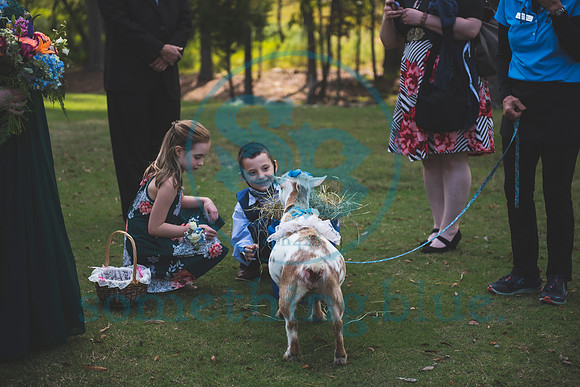 Jenny & Tommy - Slideshow148