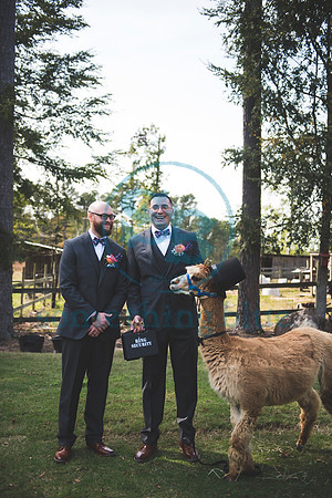 Jenny & Tommy - Slideshow149