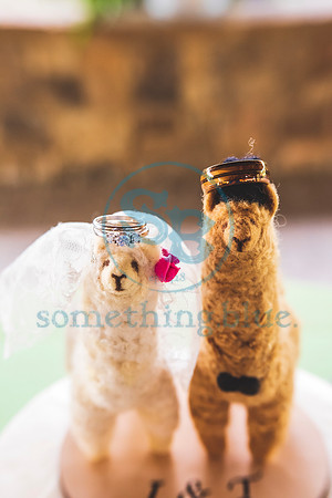 Jenny & Tommy - Slideshow220