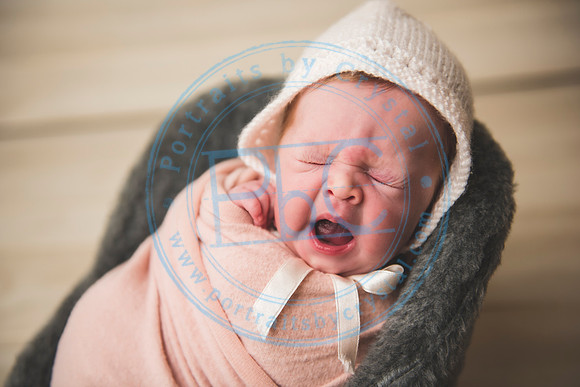 Samantha - Newborn_102120_0253
